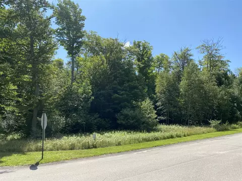 Ceylon #( 5), Onekama, MI 49675 photo 9