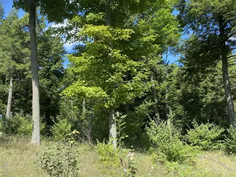 Ceylon #( 5), Onekama, MI 49675 photo 14