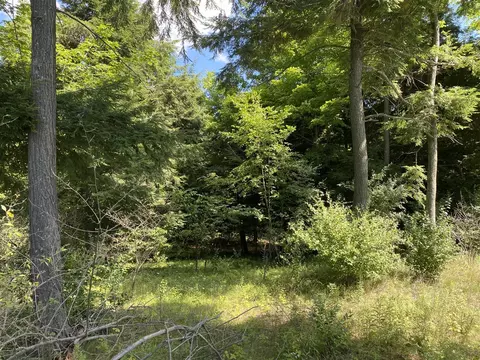 Ceylon #( 5), Onekama, MI 49675 photo 13