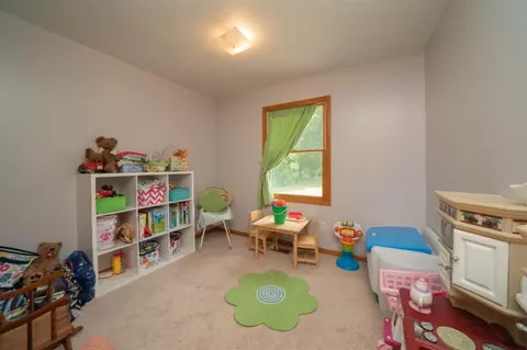 25410 Simpson, Mendon, MI 49072 photo 25