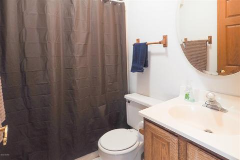 950 Clark, Ceresco, MI 49033 photo 18