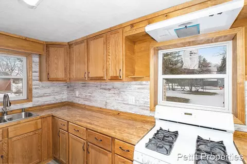 254 Tabor, Lyons, MI 48851 photo 11