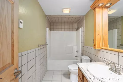 254 Tabor, Lyons, MI 48851 photo 15