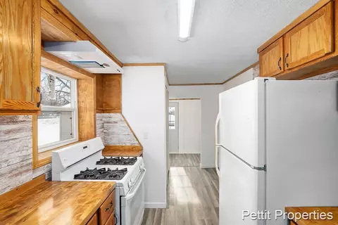 254 Tabor, Lyons, MI 48851 photo 12