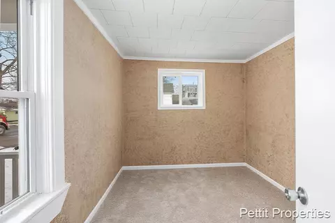 254 Tabor, Lyons, MI 48851 photo 14