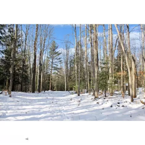 4826 Moore, Williamsburg, MI 49690 photo 3