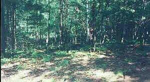 tolliver, Mears, MI 49436 photo 2