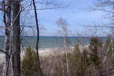 tolliver, Mears, MI 49436 photo 6