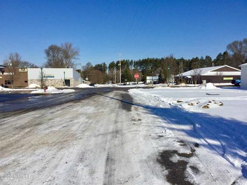 100 E Mesick, Mesick, MI 49668 photo 3