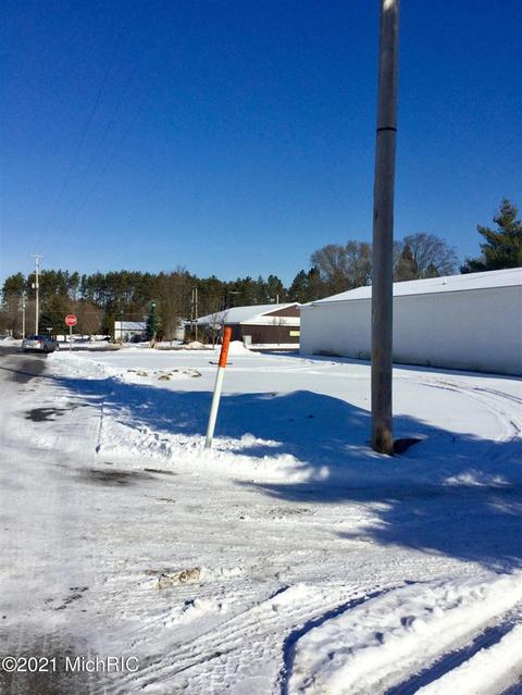 100 E Mesick, Mesick, MI 49668