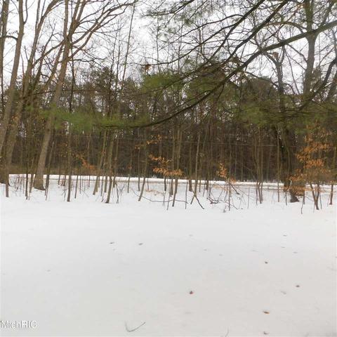 475 E 88th, Newaygo, MI 49337 photo 20