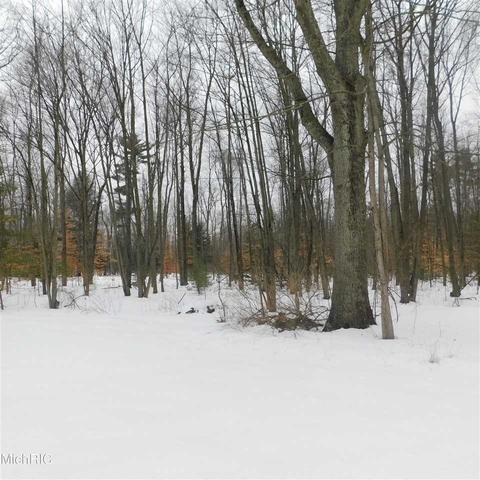 475 E 88th, Newaygo, MI 49337 photo 21