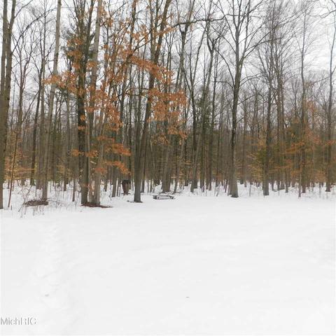 475 E 88th, Newaygo, MI 49337 photo 22