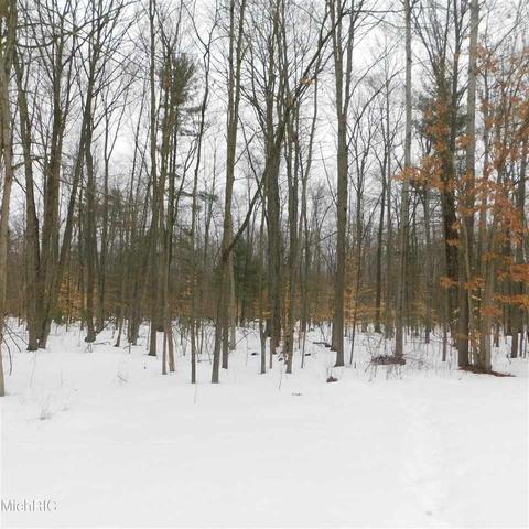 475 E 88th, Newaygo, MI 49337 photo 4