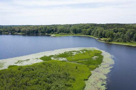 Parcel E S Hillview Lake, Rodney, MI 49342 photo 7