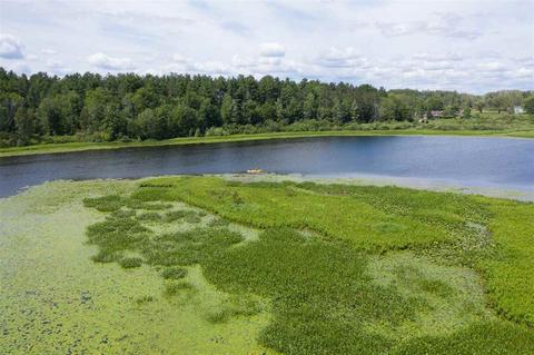 Parcel E S Hillview Lake, Rodney, MI 49342 photo 4