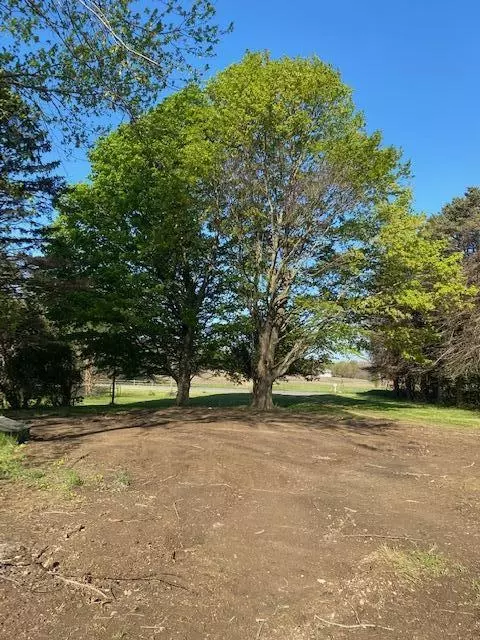 13055 Cleveland, Buchanan, MI 49107 photo 3