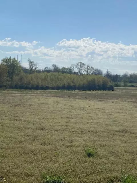 13055 Cleveland, Buchanan, MI 49107 photo 6