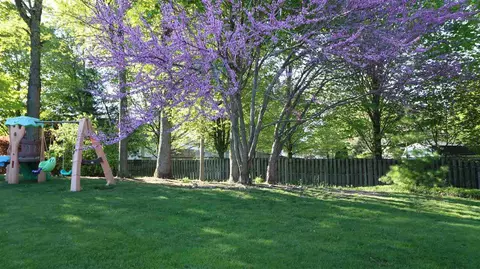 4368 Pleasantview, Dorr, MI 49323 photo 24
