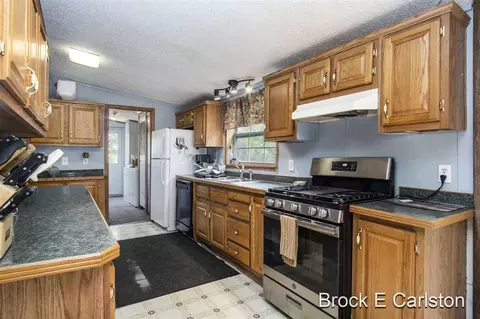1845 Shaw, Bailey, MI 49303 photo 13