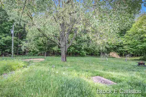 1845 Shaw, Bailey, MI 49303 photo 34