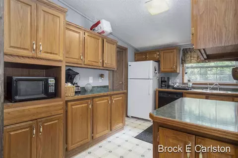 1845 Shaw, Bailey, MI 49303 photo 14