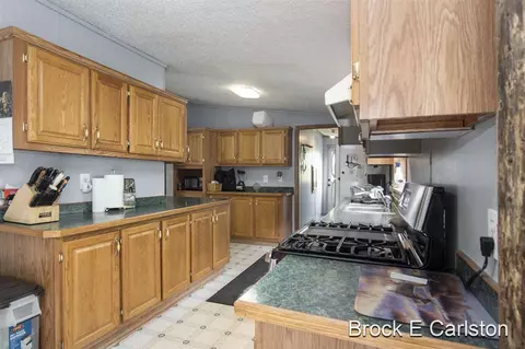 1845 Shaw, Bailey, MI 49303 photo 11