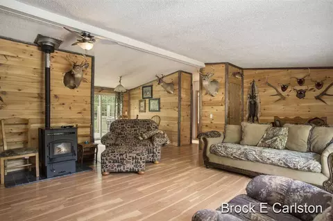 1845 Shaw, Bailey, MI 49303 photo 7