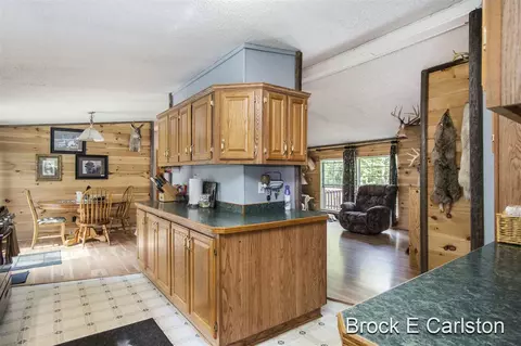 1845 Shaw, Bailey, MI 49303 photo 10