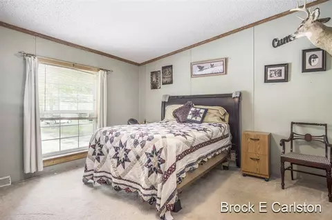 1845 Shaw, Bailey, MI 49303 photo 16