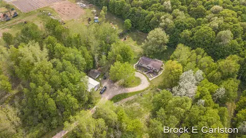 1845 Shaw, Bailey, MI 49303 photo 26