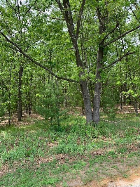 lot9 Old Channel, Montague, MI 49437