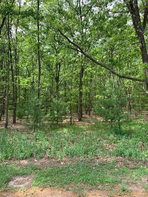 Lot 11 Lakeshore, Montague, MI 49437