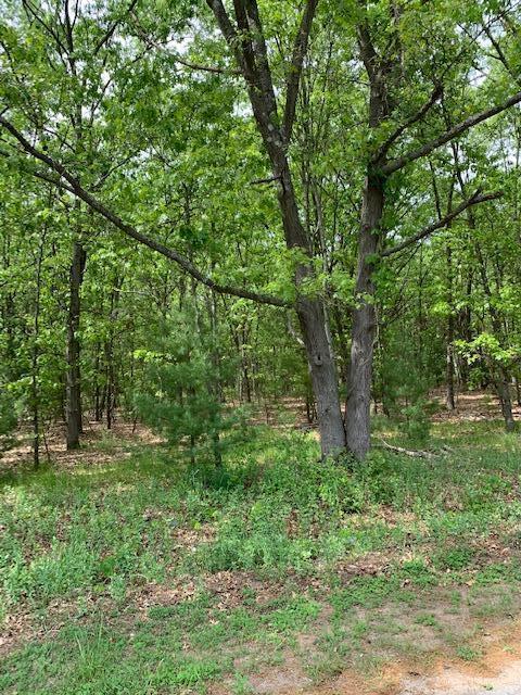 lot12 Lakeshore, Montague, MI 49437