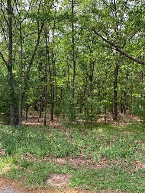 Lot 10 Lewanee, Montague, MI 49437