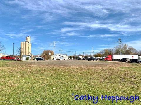 261 S Dexter, Ionia, MI 48846