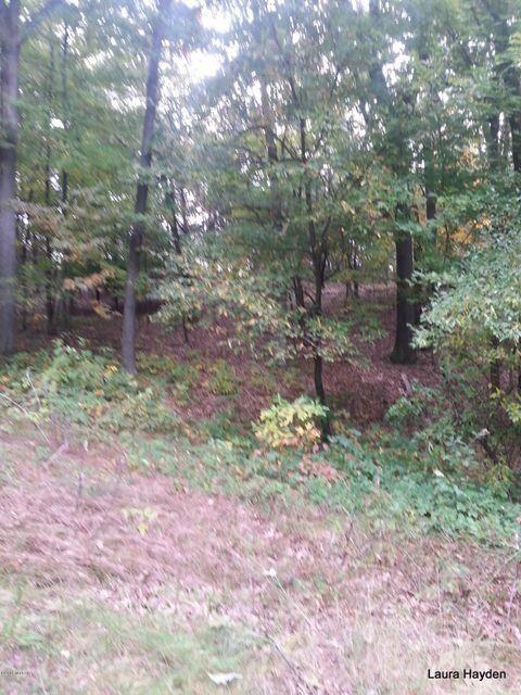 vising LOT 6, Lowell, MI 49331 photo 2