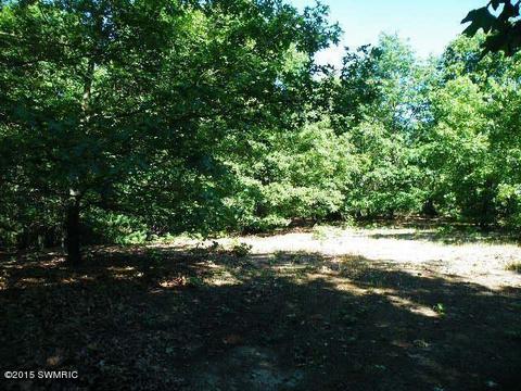 vising LOT 6, Lowell, MI 49331 photo 4