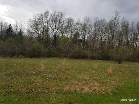 vising LOT 6, Lowell, MI 49331 photo 5