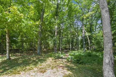 59482 Silvergrass, Mattawan, MI 49071 photo 27