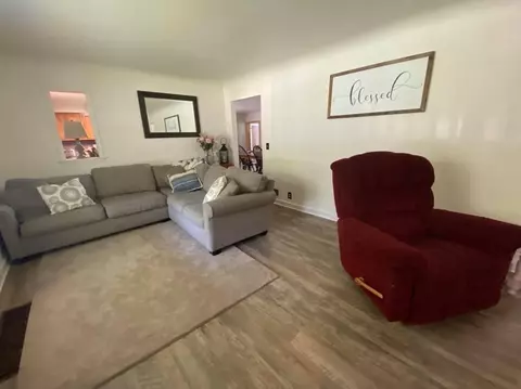 233 W Bradford, Stanton, MI 48888 photo 7