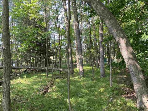 8321 W Royal #46, Canadian Lakes, MI 49346