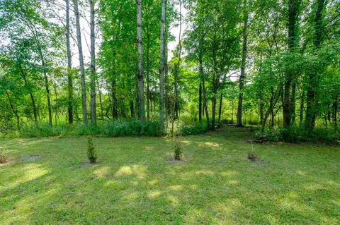 305 N Vickeryville, Stanton, MI 48888 photo 23