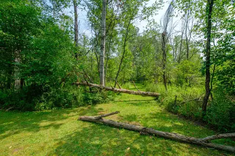 305 N Vickeryville, Stanton, MI 48888 photo 9
