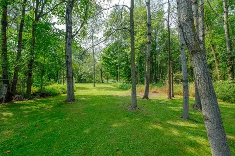 305 N Vickeryville, Stanton, MI 48888 photo 8
