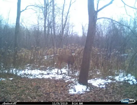 305 N Vickeryville, Stanton, MI 48888 photo 32