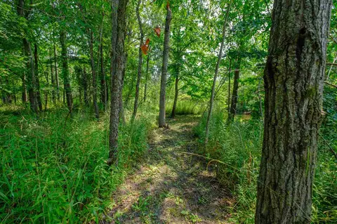 305 N Vickeryville, Stanton, MI 48888 photo 20