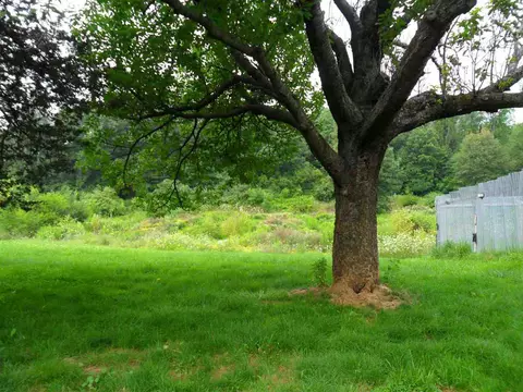 8940 Gurd, Dowling, MI 49050 photo 25
