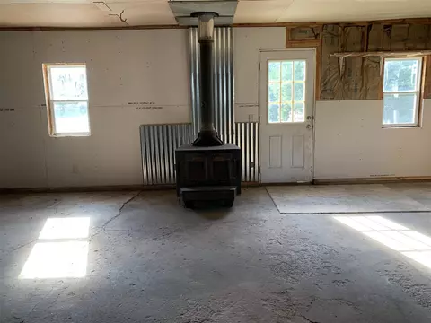 204 First, Sunfield, MI 48890 photo 49