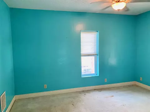 204 First, Sunfield, MI 48890 photo 31